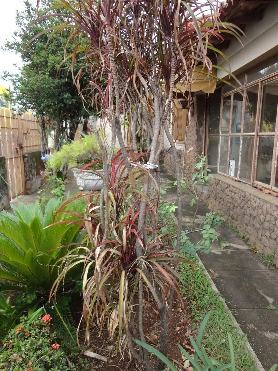 Casa à venda em Campinas, Taquaral - Foto 6