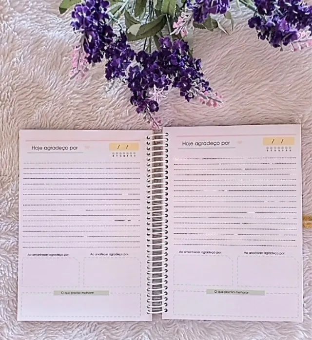 Agendas e cadernos Gratidão - Foto 3