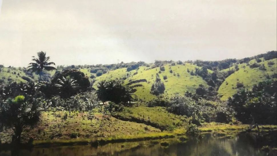 //Terreno com 270 hectares na BR 174 - Foto 2