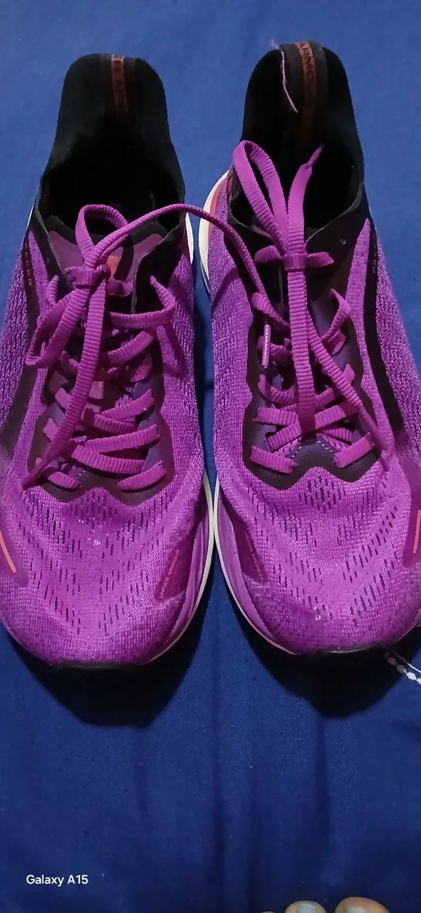 Tenis