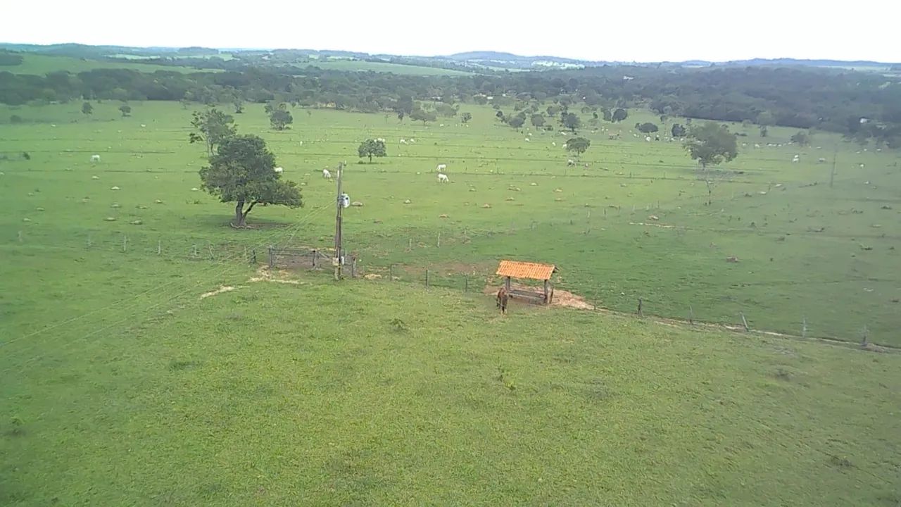 Fazenda de 50 alqueires em Heitorai-Go 