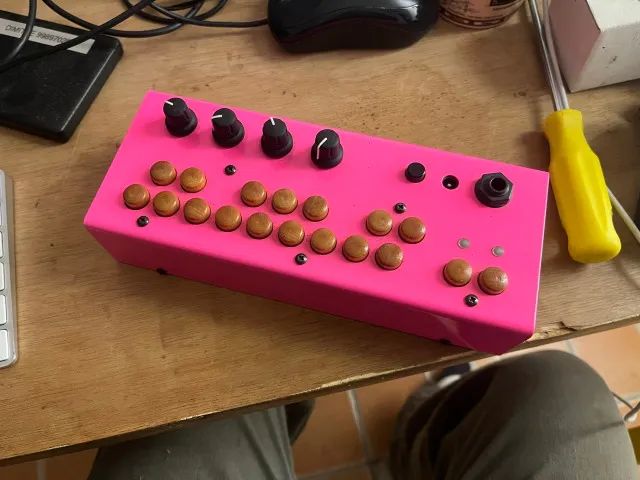 Critter & Guitari Bolsa Bass - Instrumentos musicais - Caçapava do