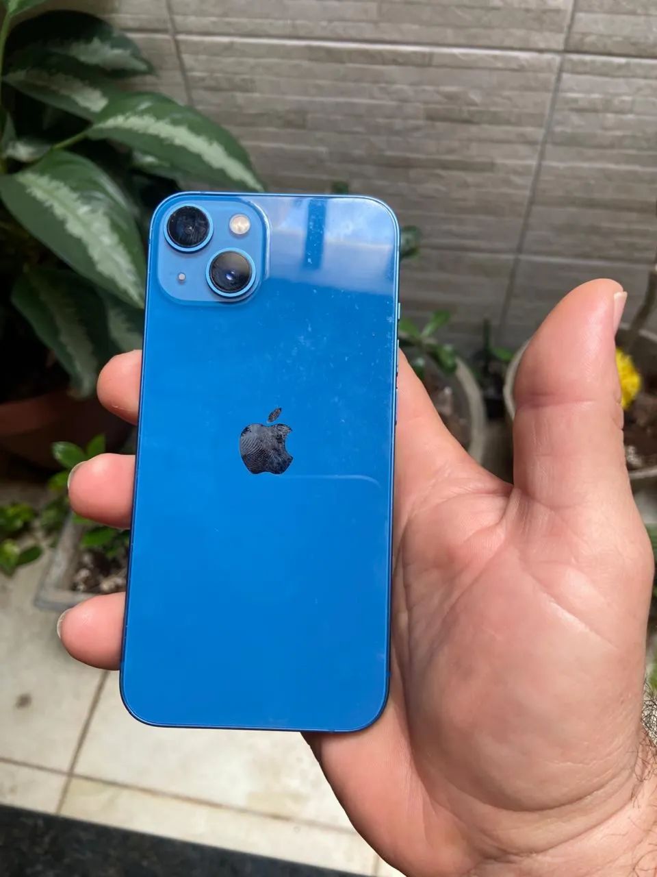 iPhone 13