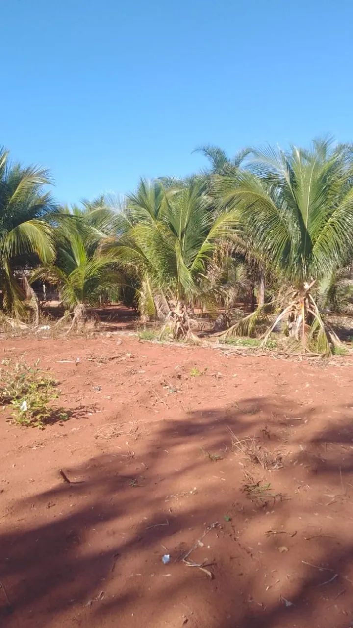 ? Chácara de 7 hectare,  em Rio Verde/MS