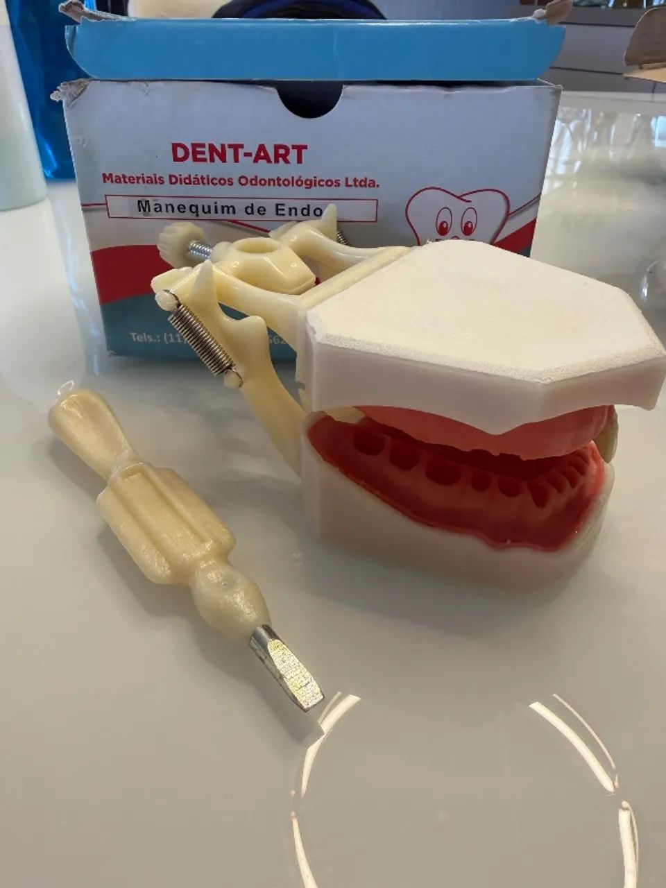 Manequins Odontológicos (Endodontia, Pediatria, Periodontia e Dentística) marca Dent-Art.