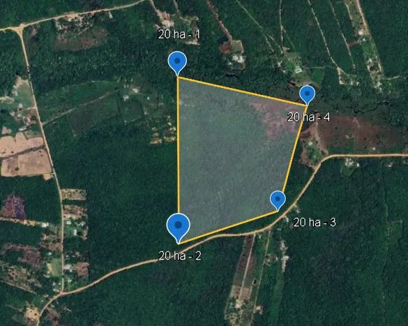 Área 20 ha - Ramal do Janauari - ideal para loteamento de chácaras - Até 50 ha - Foto 3