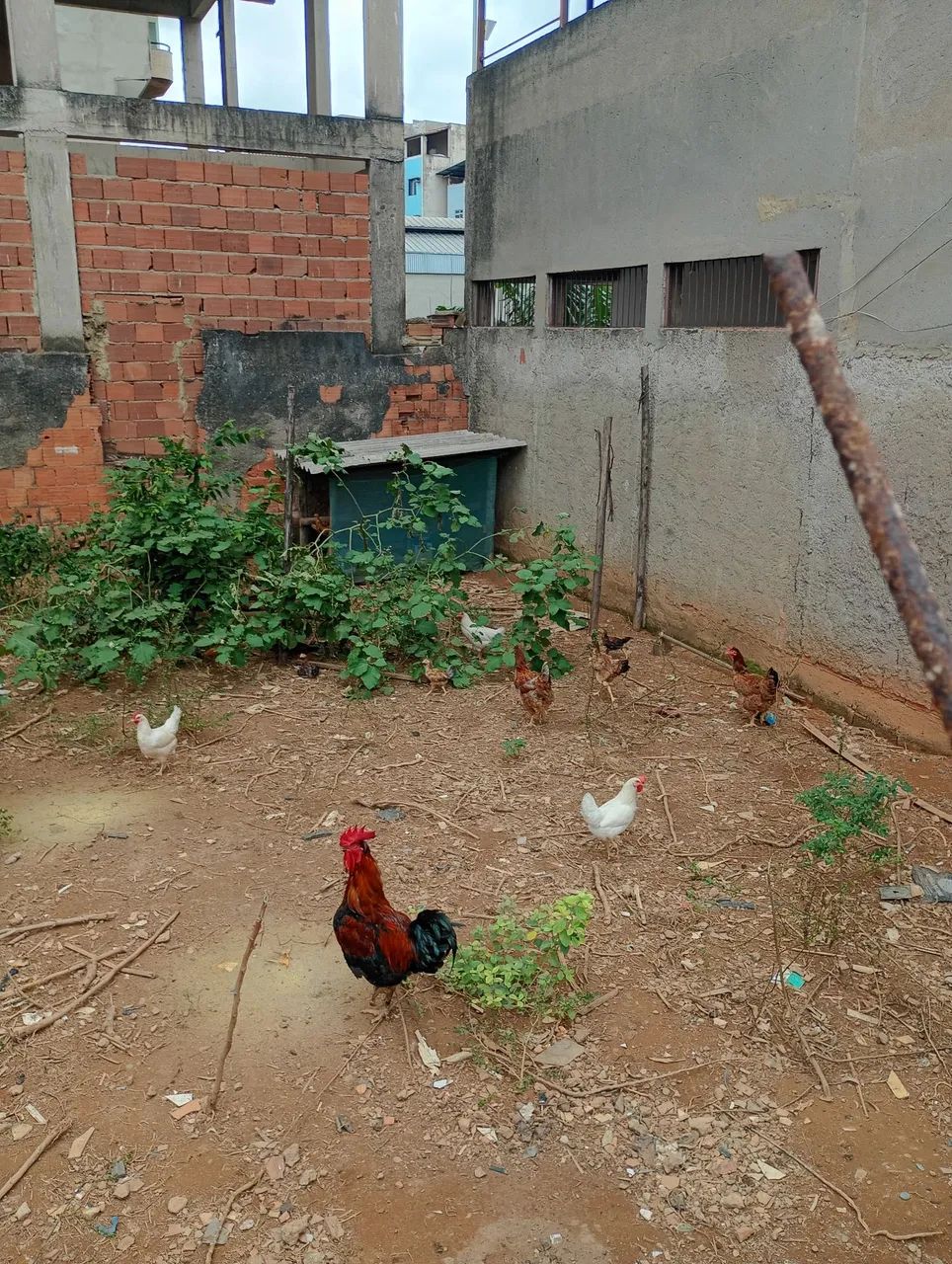Lote no cidade nobre  - Foto 4