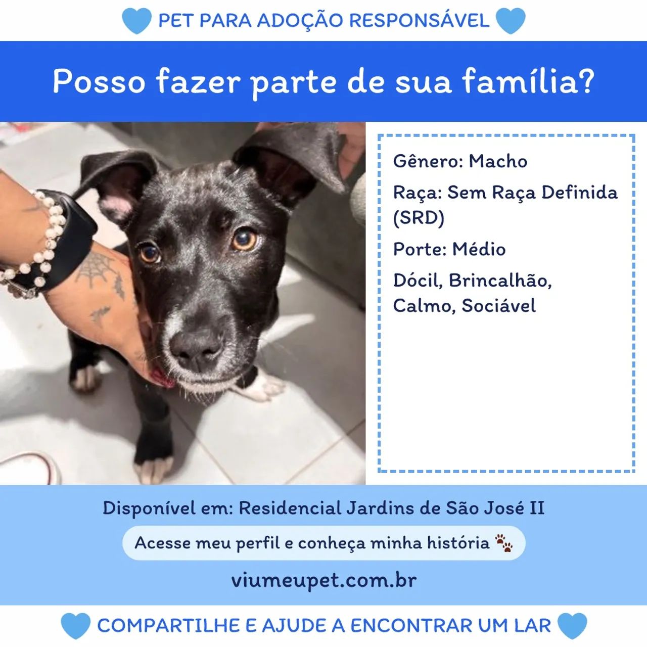 DOAÇÃO CACHORRO