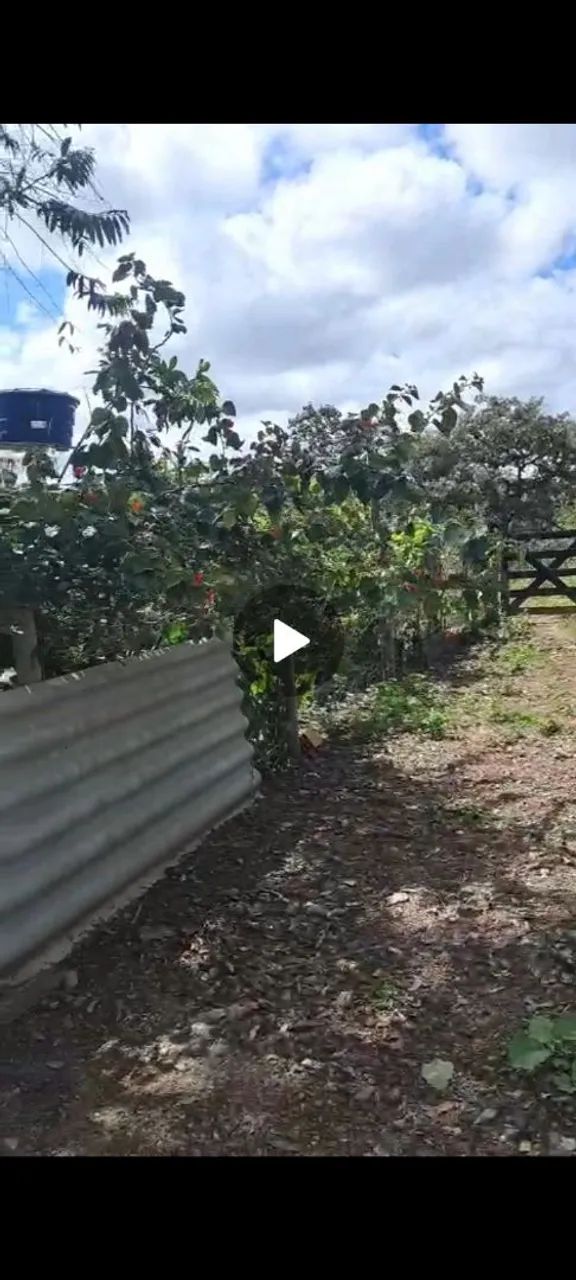 Chácara escriturada e registrada  - Foto 4