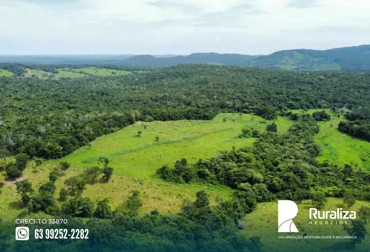 39 ALQUEIRES | 95 HA PARA ABERTURA | RIO PIRANHAS - Foto 5