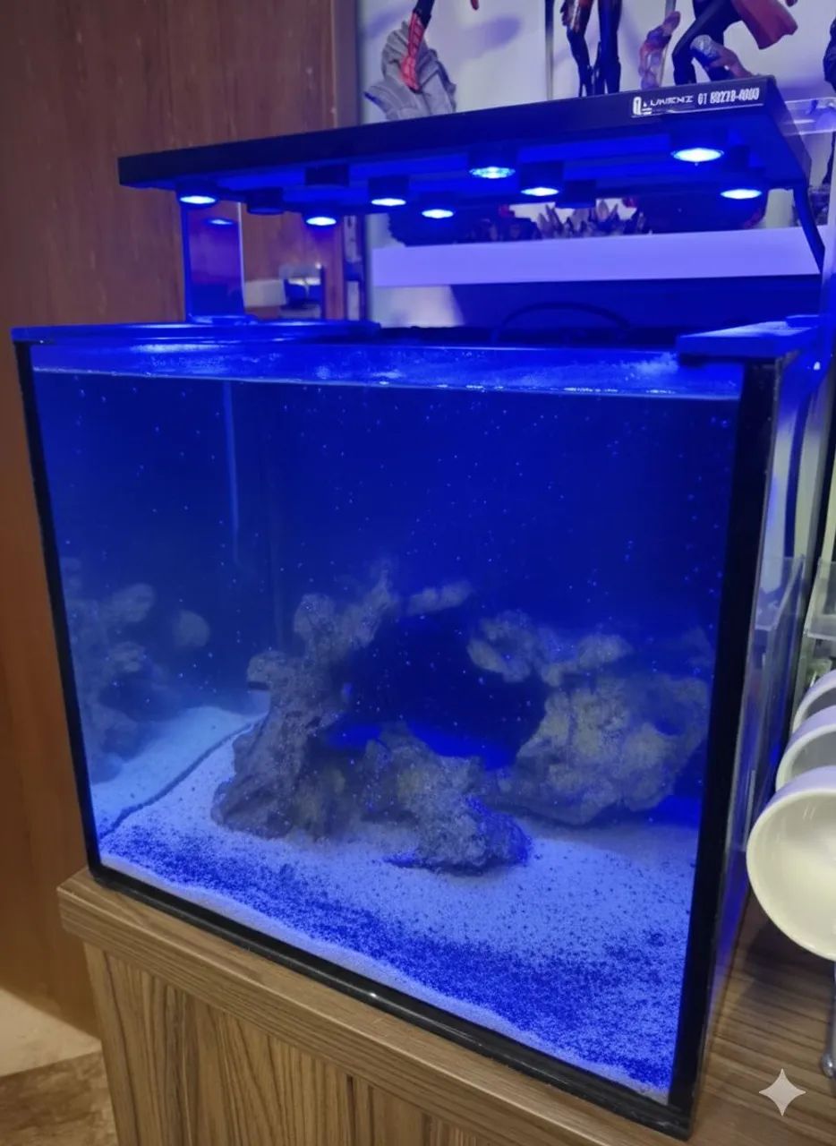 Aquário Nano reef seminovo