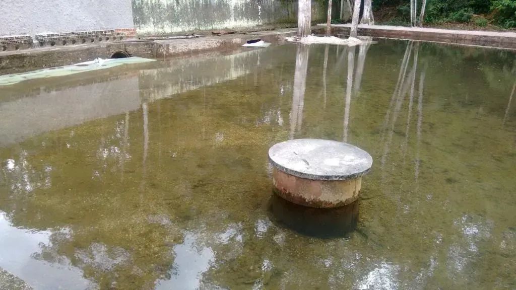 BELISSIMO SITIO ESTRADA DE MOSQUEIRO para venda com 88000M²  COM CASA SEDE PRONTA E MOBILI - Foto 3