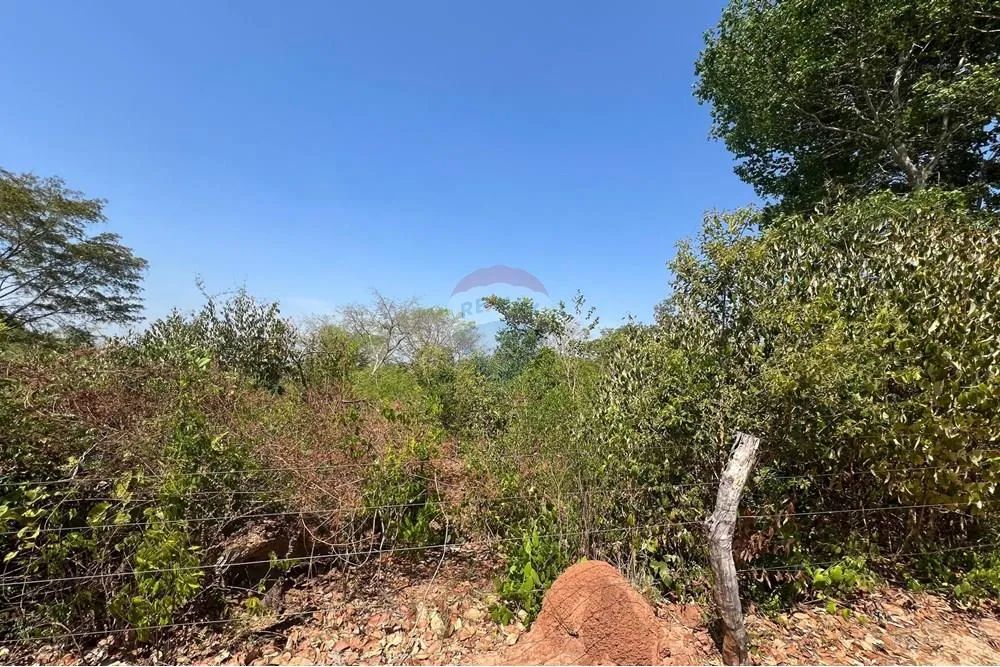 Fazenda à Venda em Araguaína - TO. - Foto 2