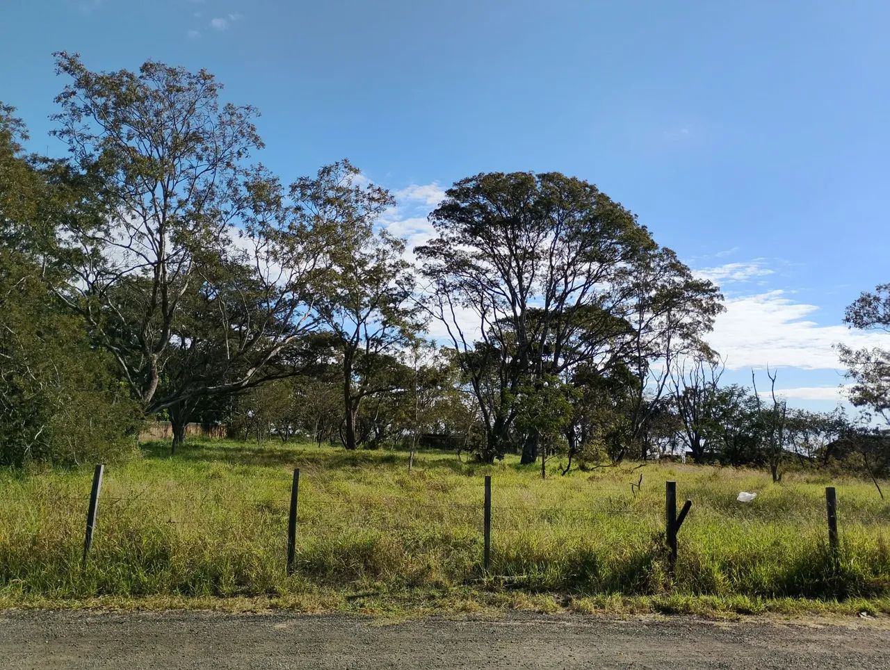 Terreno para chácara em Santa Rita do Passa Quatro - Foto 3
