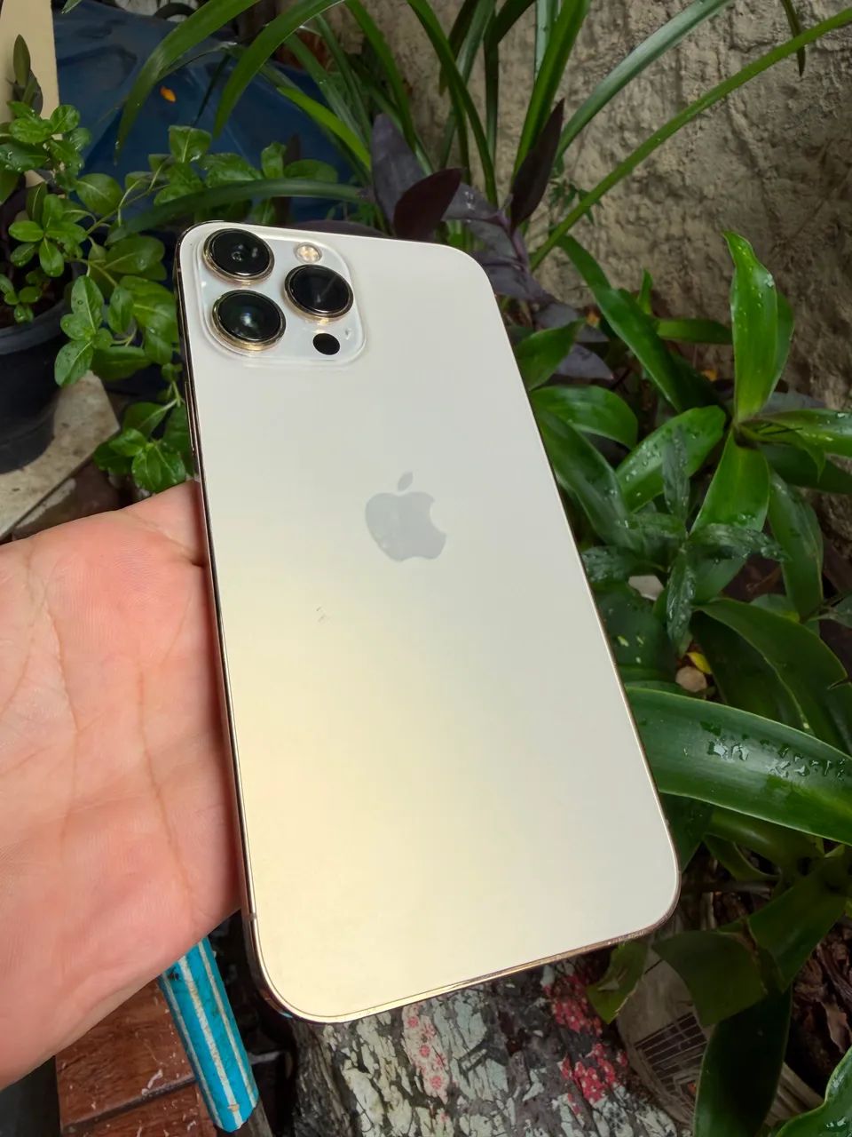 iPhone 13 Pro Max  - Foto 2
