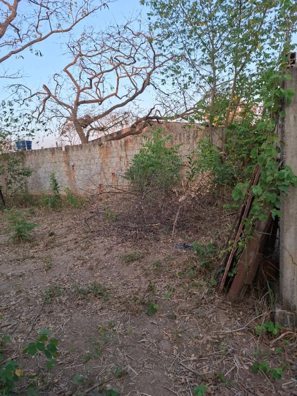 Terreno 10 X 30 - Foto 3