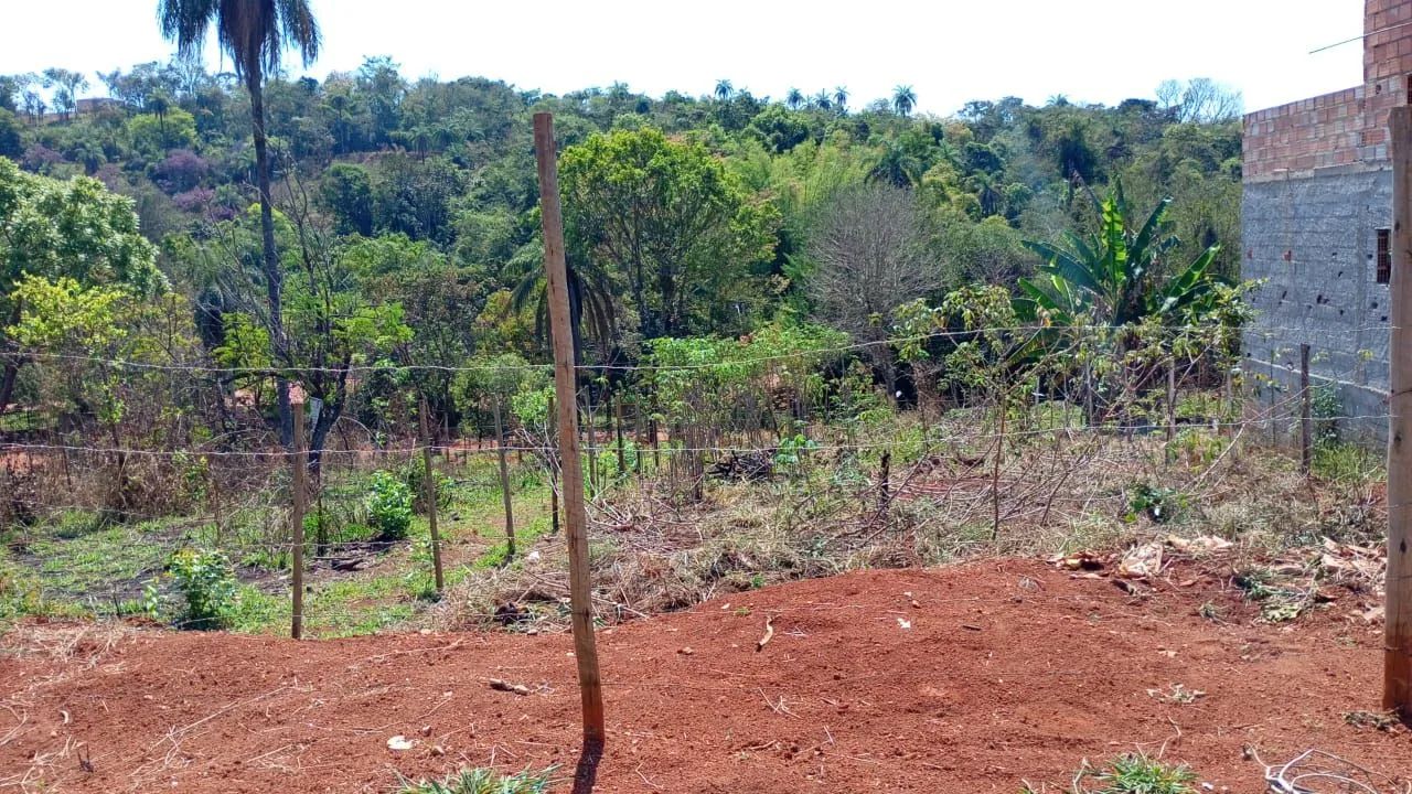 Lotes em mateus leme  - Foto 2