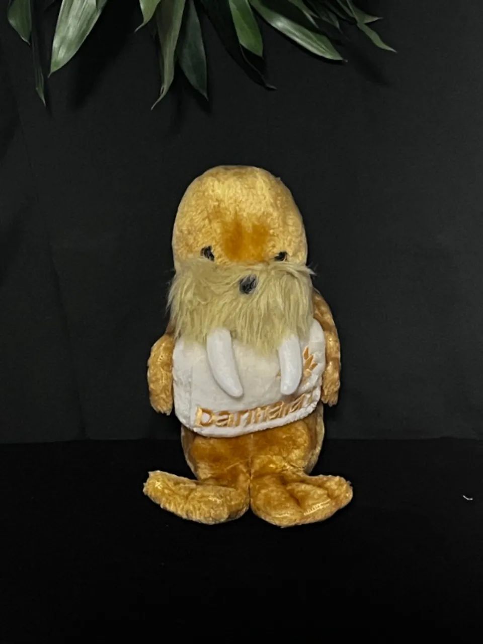 Pelucia