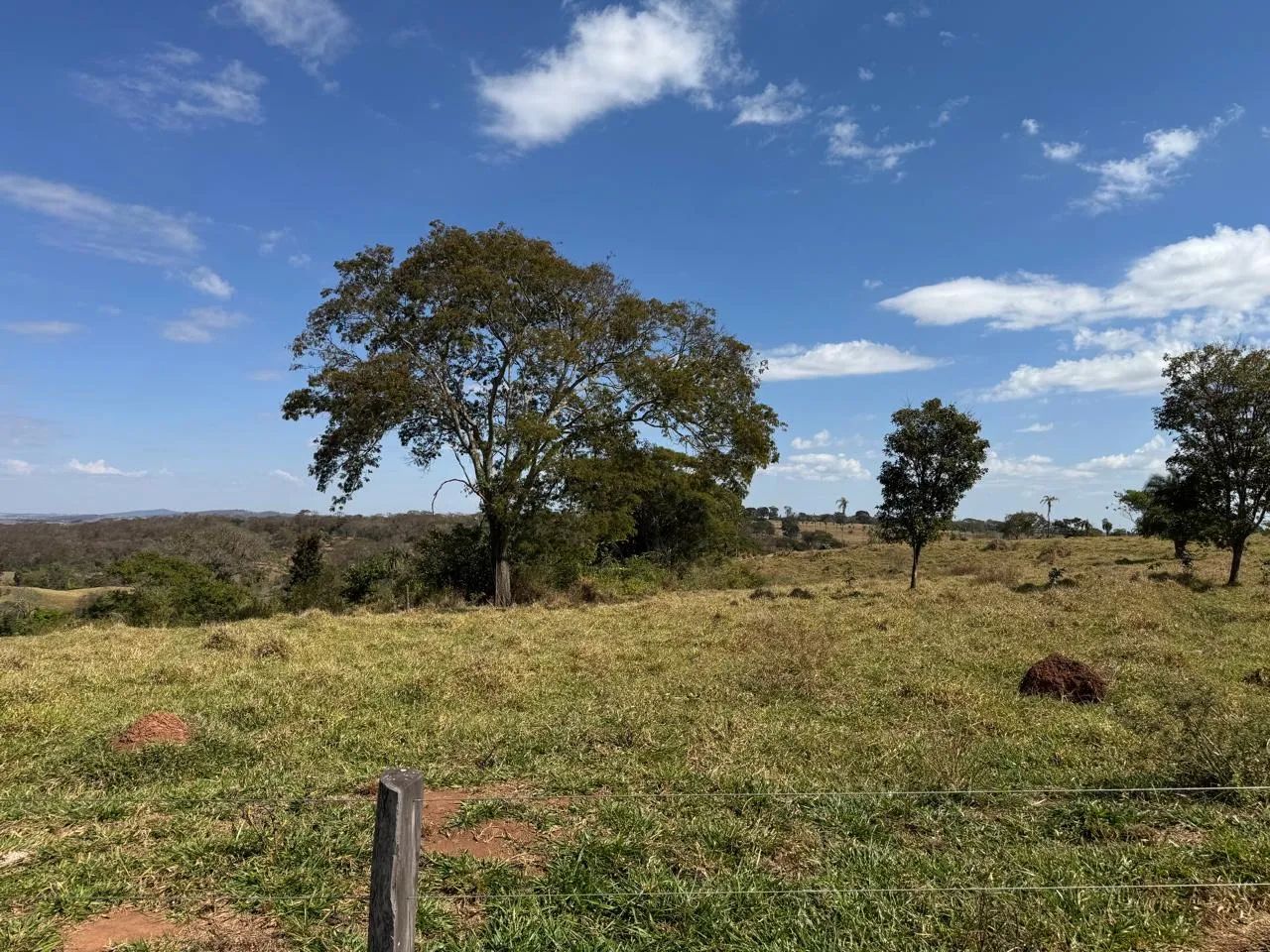 Chácara de 4.3 alqueires em Avelinópolis-Go  - Foto 4