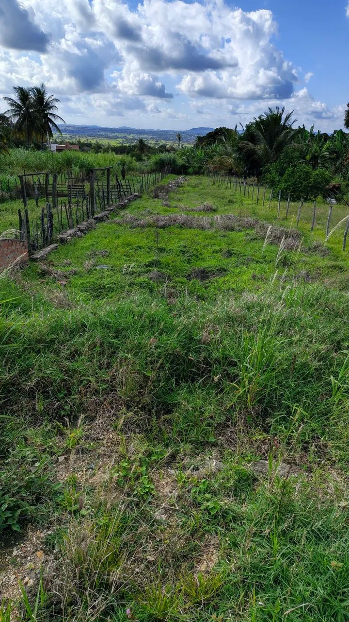 Terreno no povoado bom jardim em itabaiana - Foto 5
