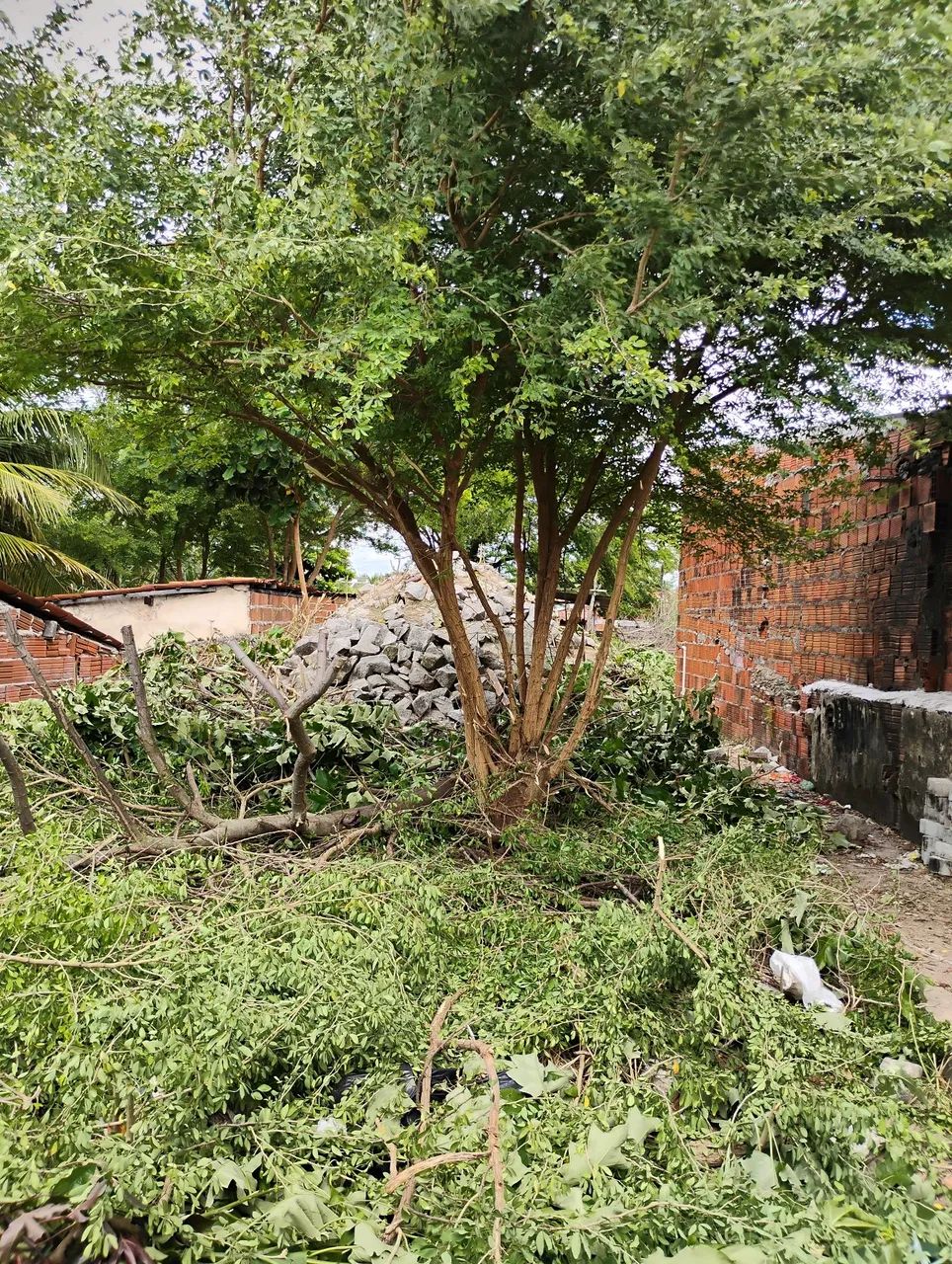 Terreno a venda  - Foto 5