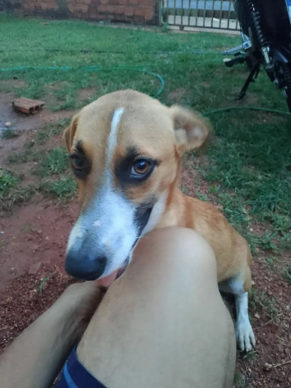 Doação 