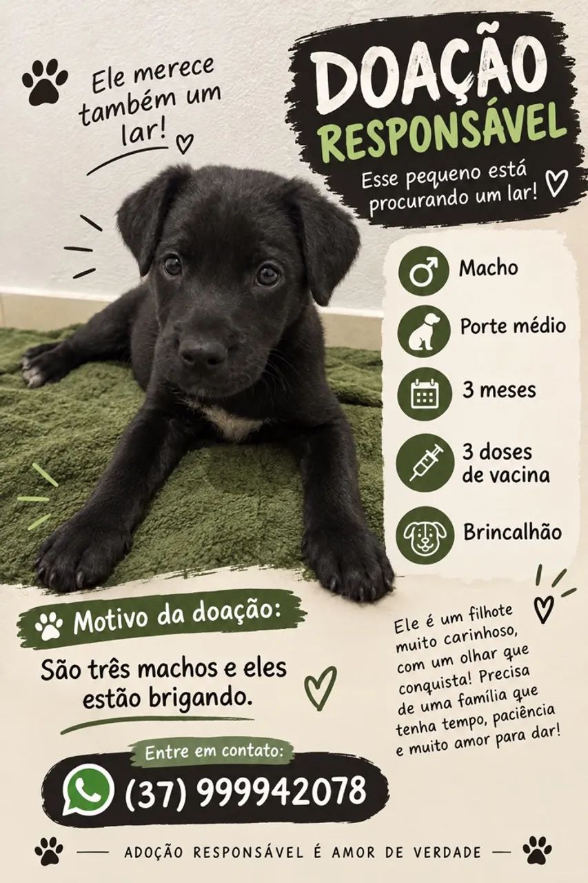 Doação 