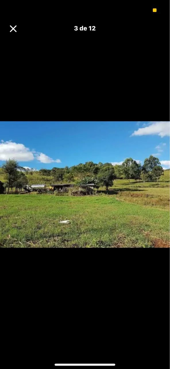 Sítio a venda  - Foto 3