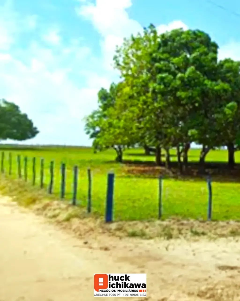 FAZENDA DE 1000 TAREFAS Umbaúba / Indiaroba