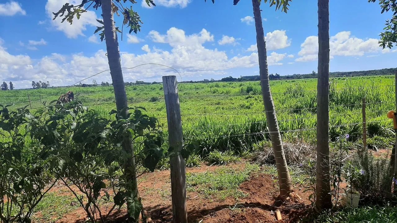 Sitio ,Sidrolandia