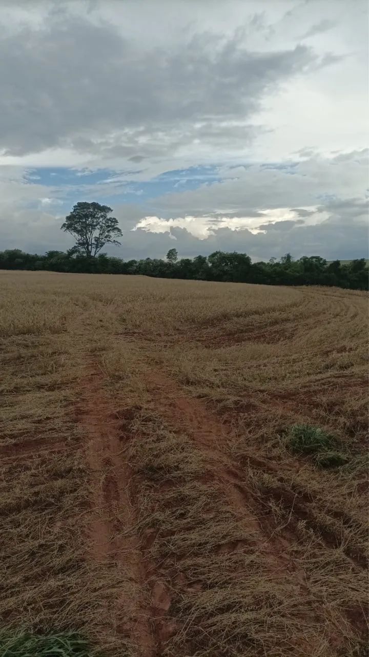 Sítio a venda em Campo Mourão Pr. - Foto 2