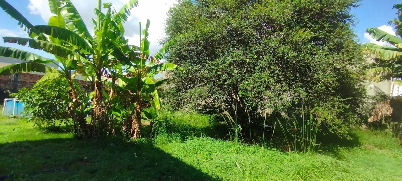 Maringá-Pr, Zona 05, terreno 785 m2,com contrução 208 m2 , R$ 1.490.000,00 - Foto 9