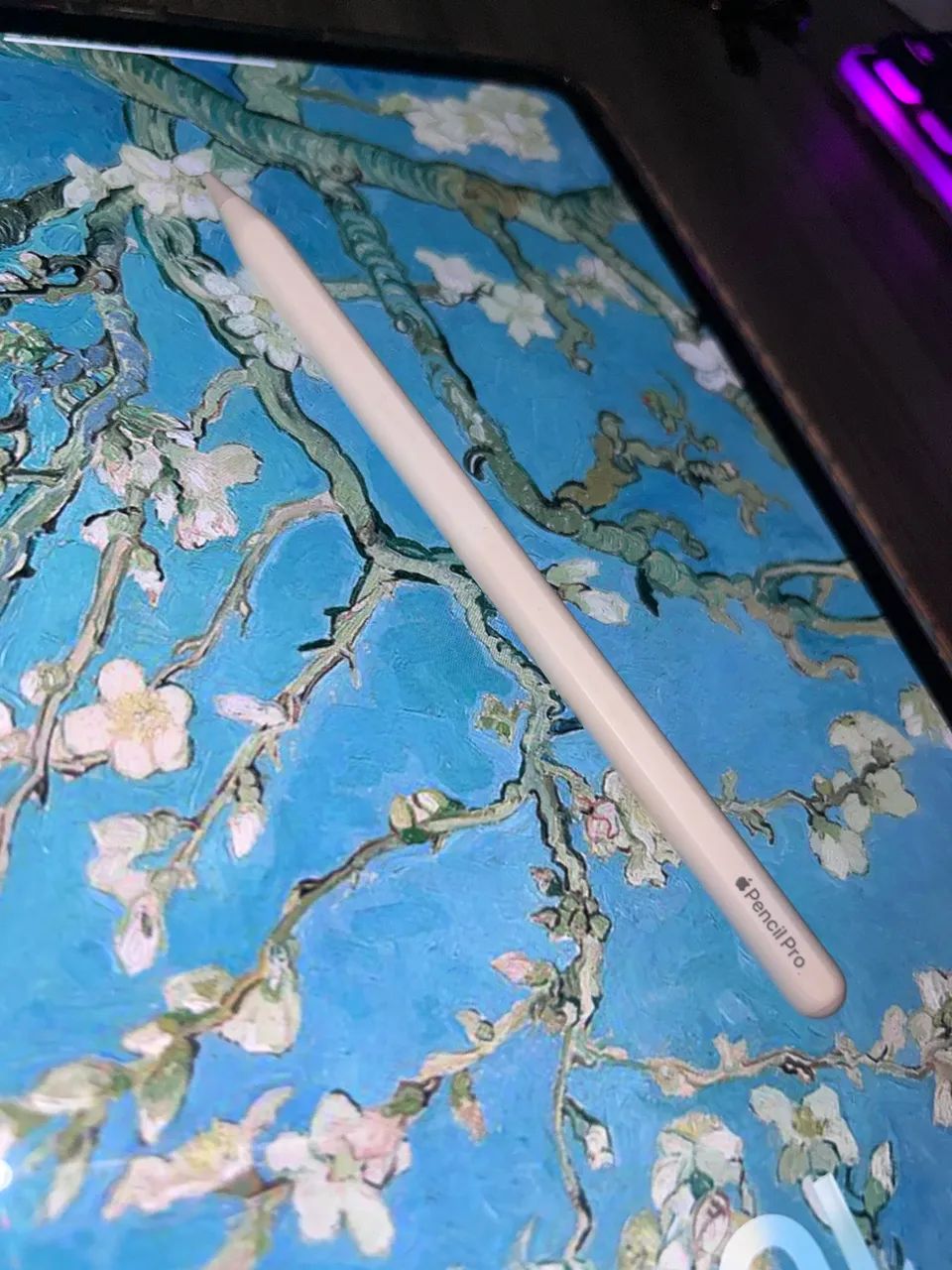 Apple Pencil pro 