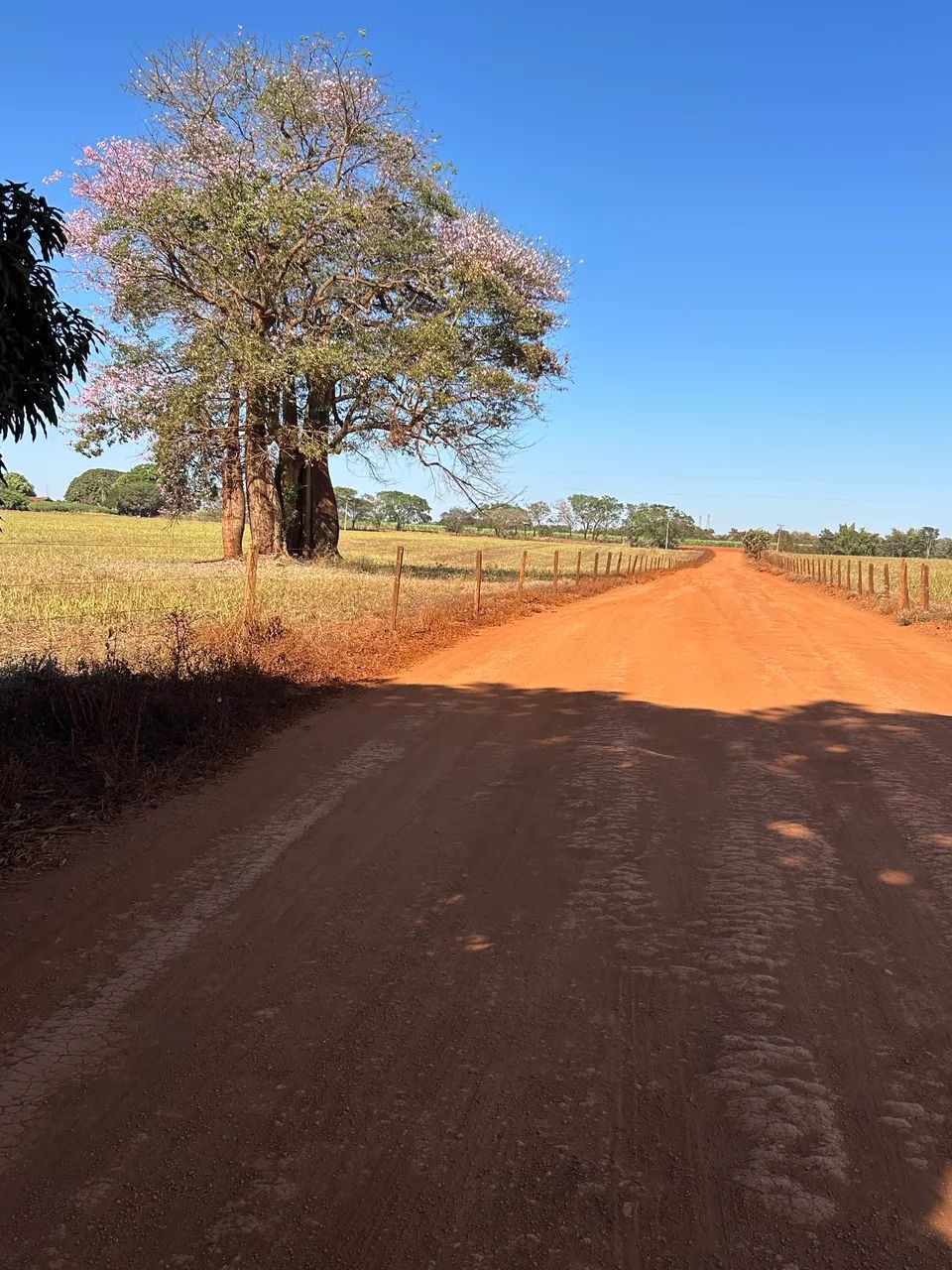 Agroindústrial - Foto 4