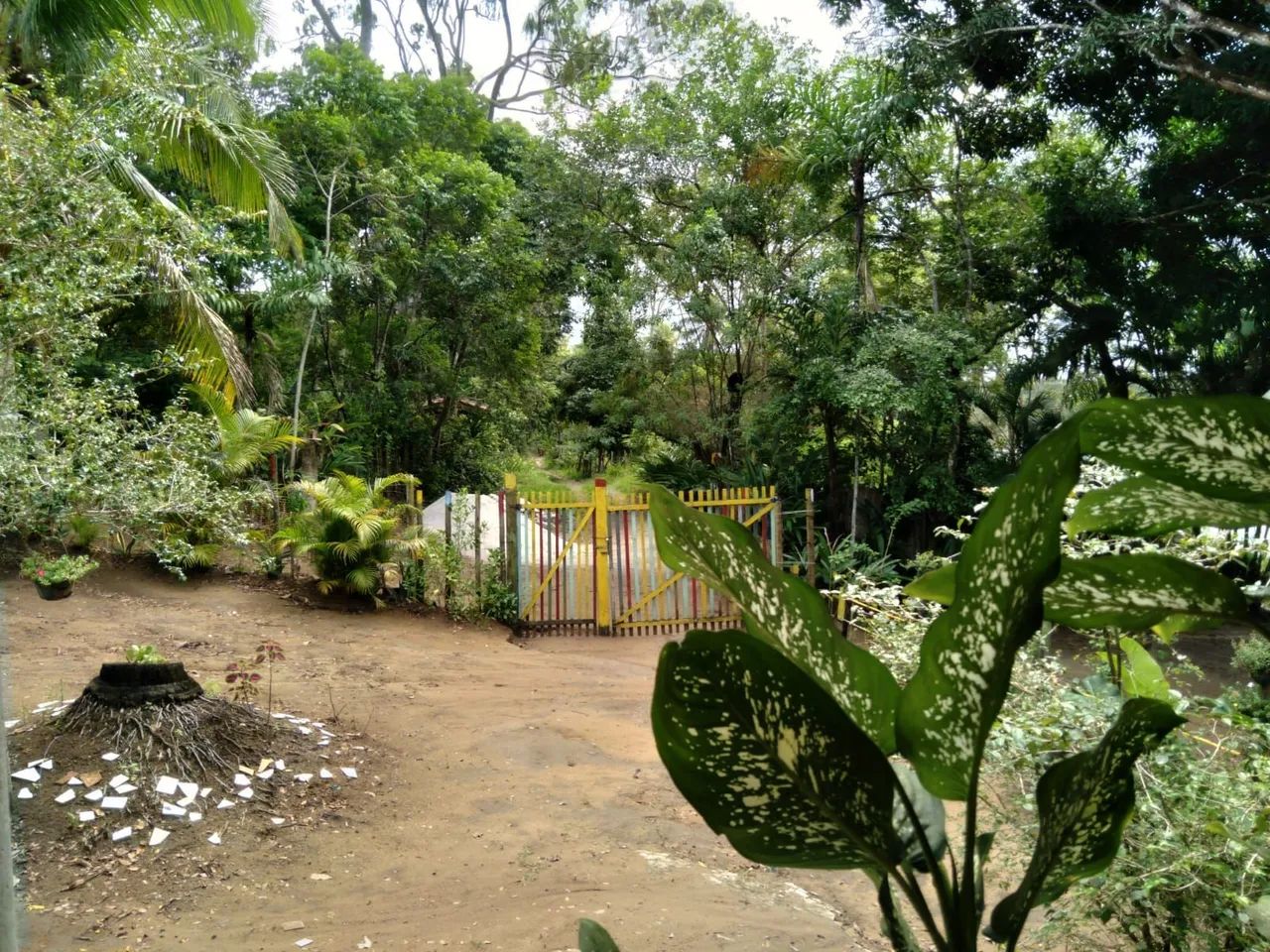 Venda de sitio - Foto 2