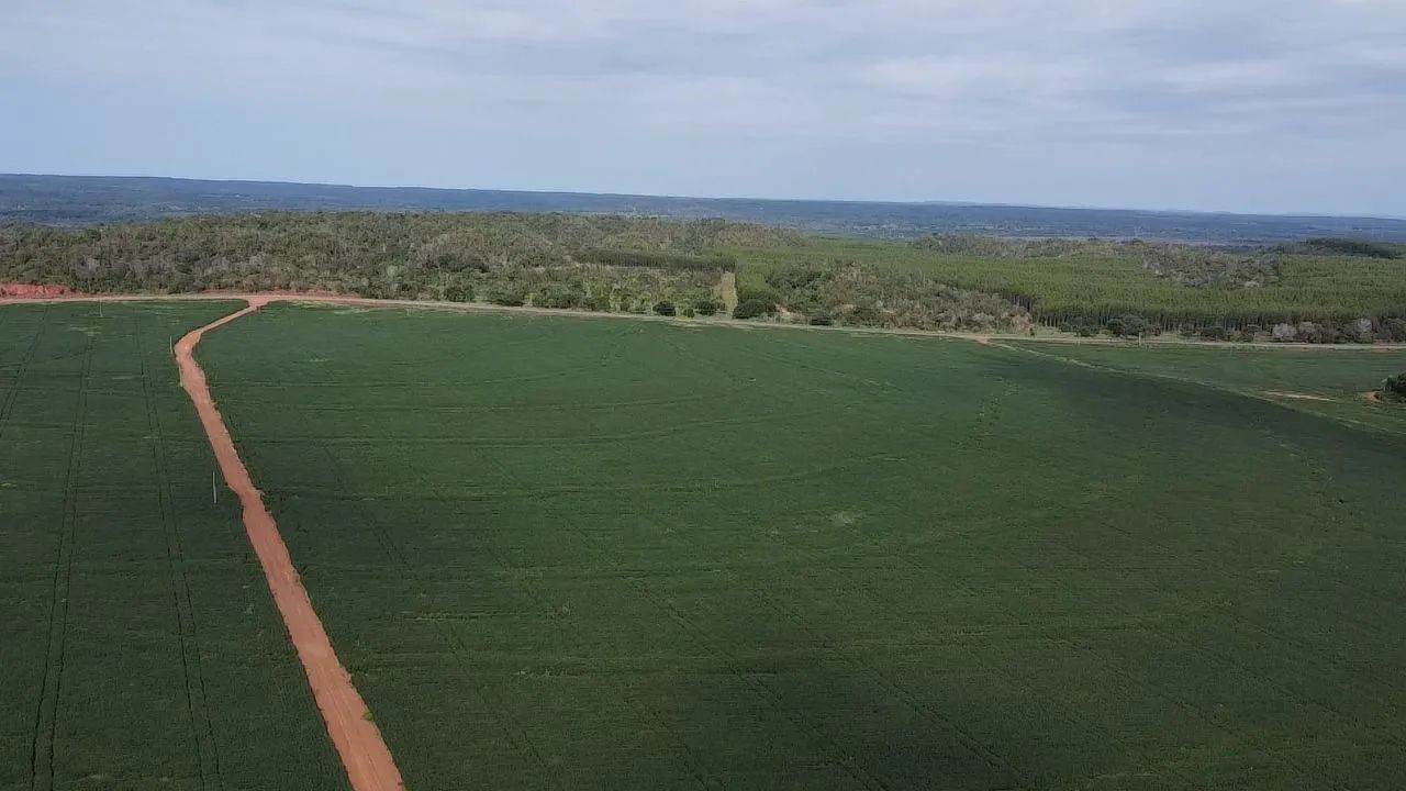 Fazenda dupla aptidão  - Foto 3