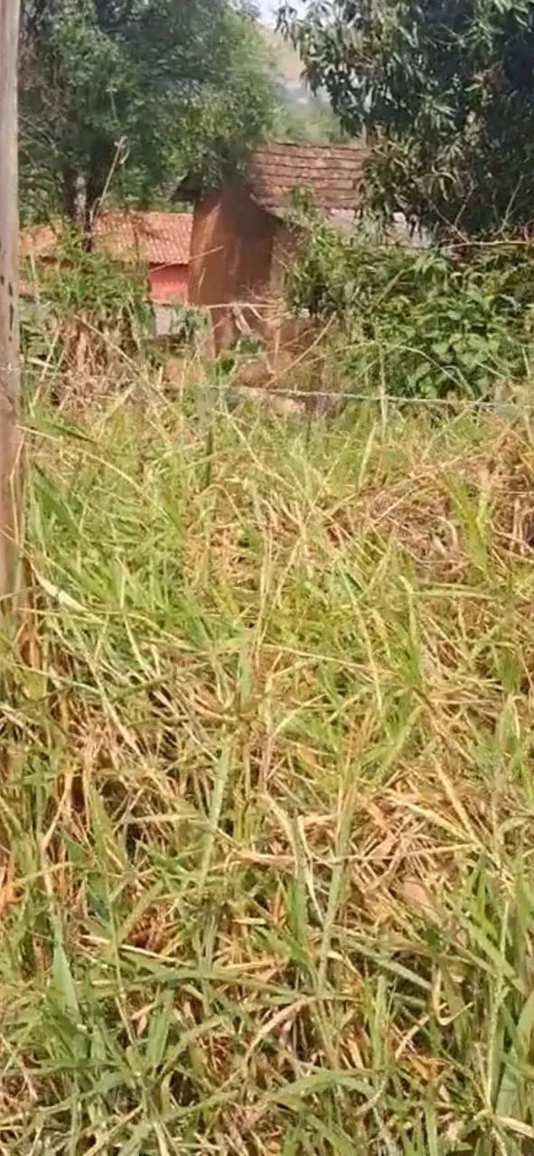 Chácara com 3.900m² em Piranguinho - MG - Foto 4