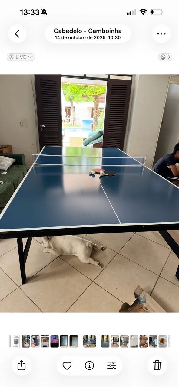 Mesa de ping pong 