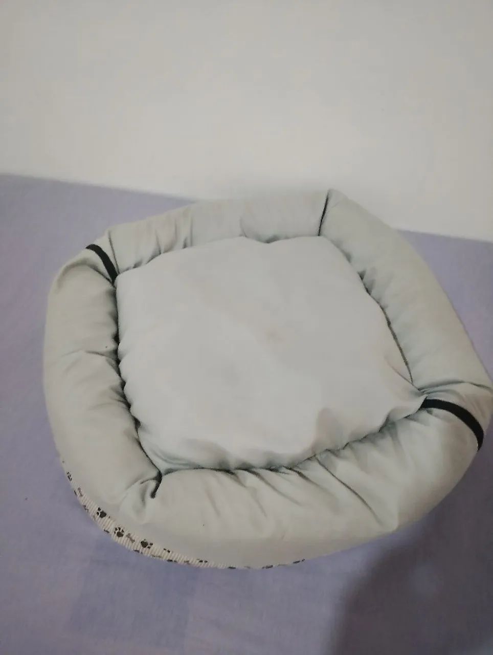 Caminha pet
