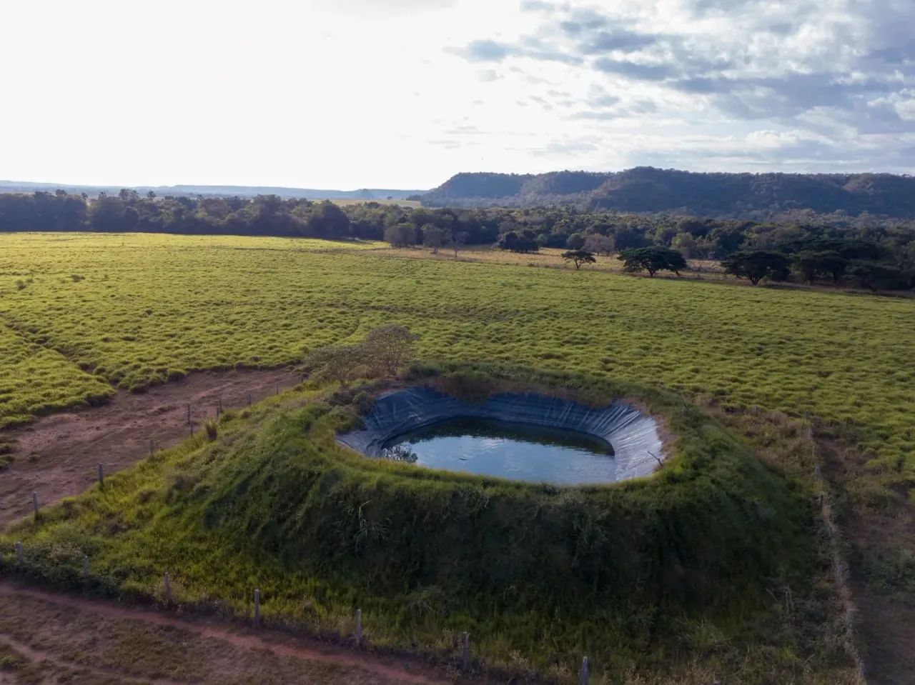Fazenda a venda 18.800 hectares em Goiatins Tocantins!!! - Foto 4