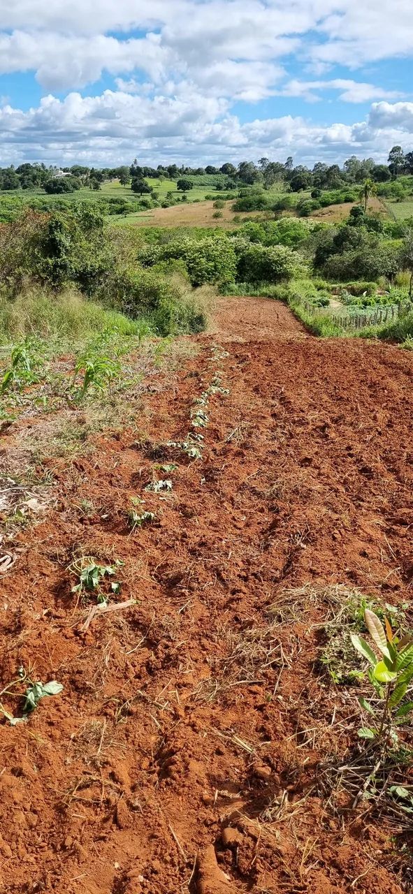 Terreno em Feira Nova-PE com 16 X 180m - Foto 4
