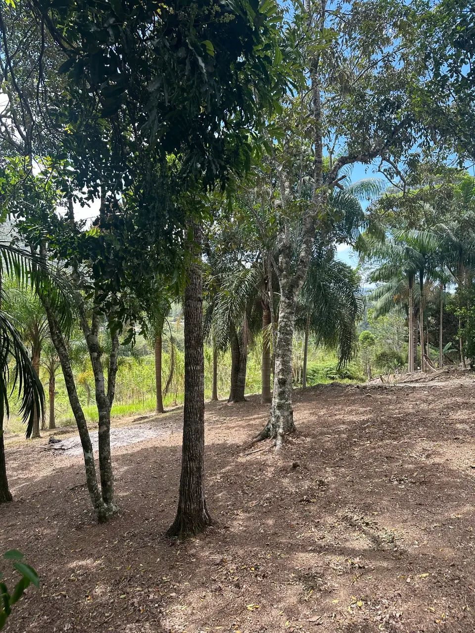 Terreno ideal para construir seu chalé! Bem localizado A. Mornas - Foto 5