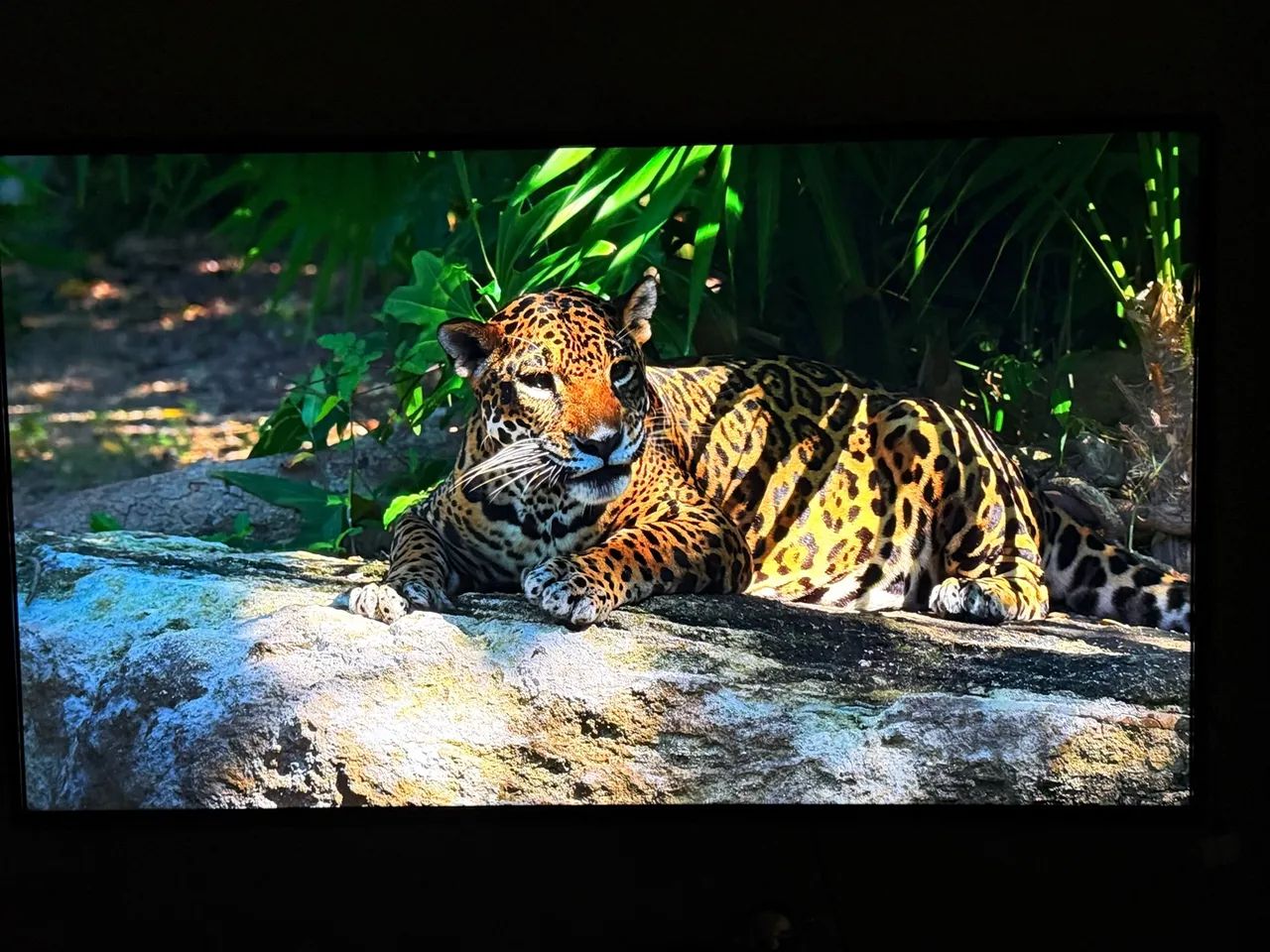 Tv LG 60 polegadas 4K - Foto 2