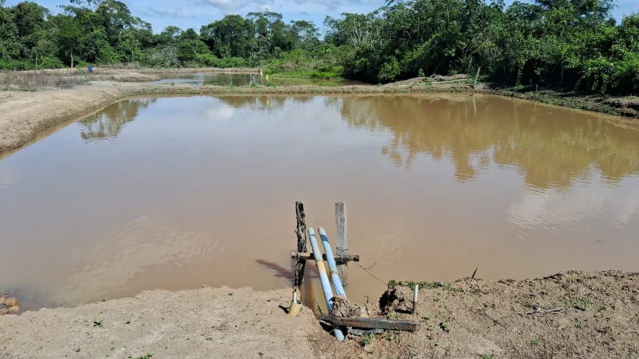 Fazenda em Silvania dupla aptidao - Foto 4