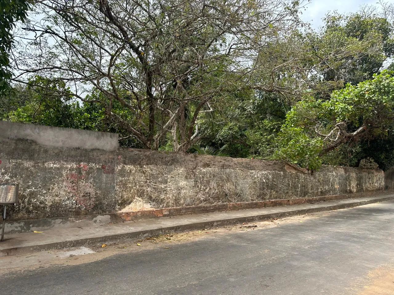 Vendo Sítio próximo Av. General Arthur Carvalhor - Foto 4