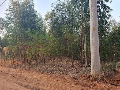 Lote de chácara- Camargo II- São Pedro S/P - Foto 5