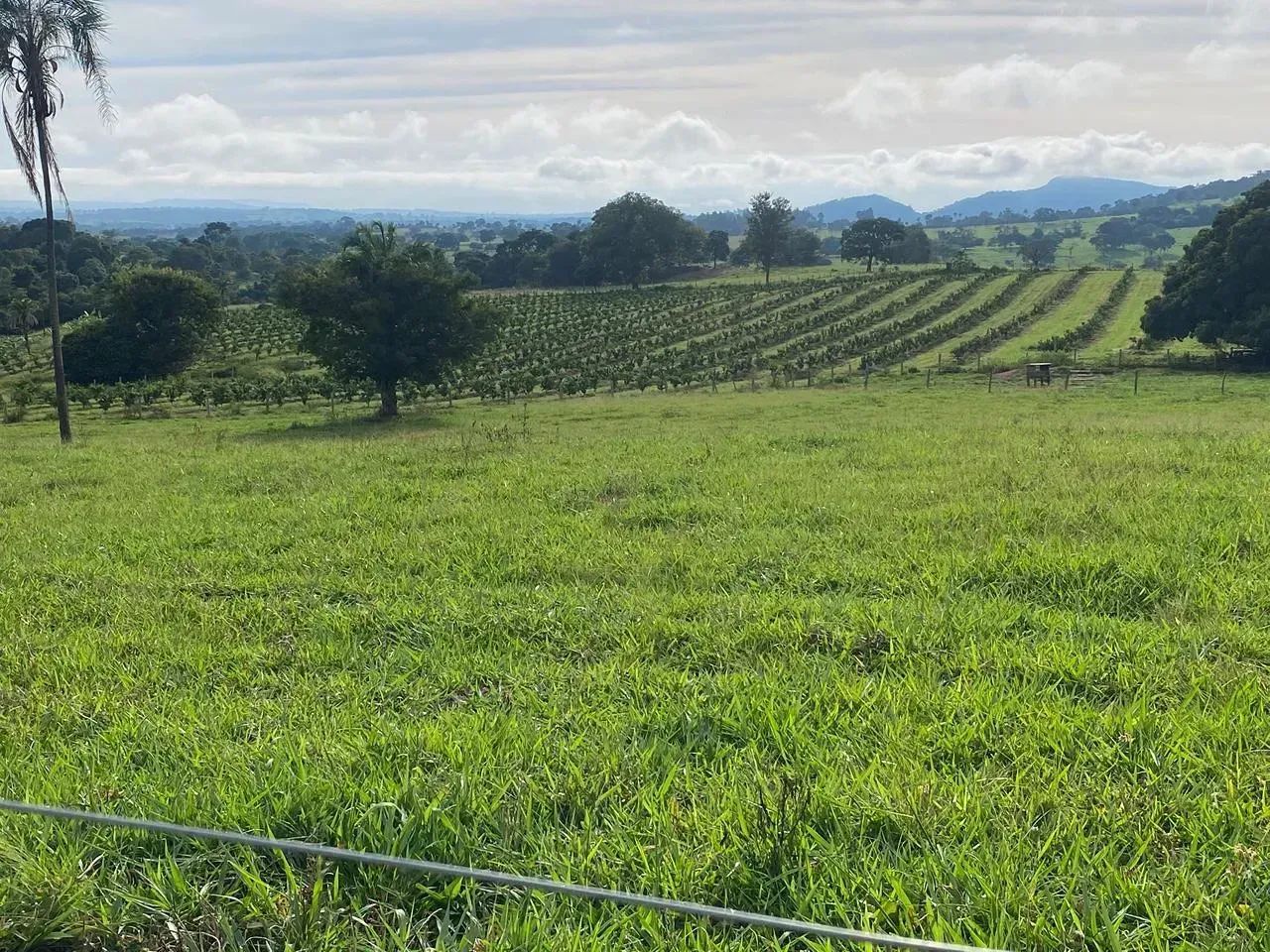 Chácara a venda em Taquaral - Goiás!!!