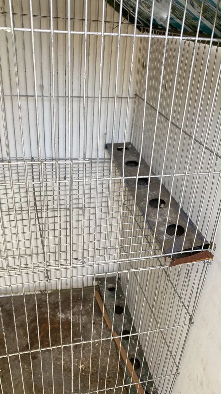 Gaiola dupla 