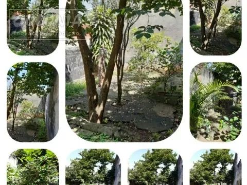 Terreno a venda - Vila Eldízia, Santo André - Foto 5