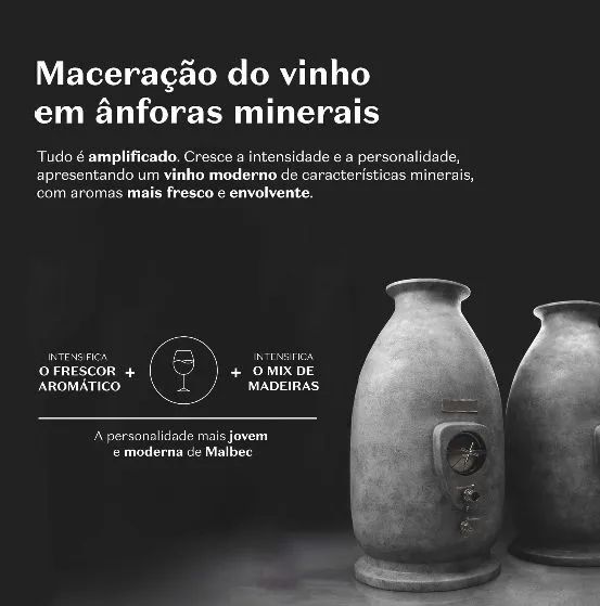Malbec Icon - Novo - Foto 2